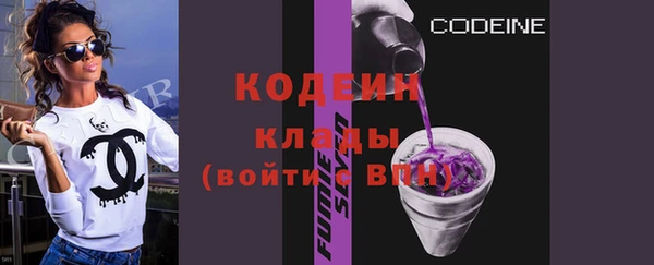 гашик Пересвет