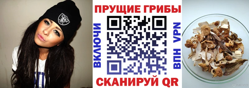 Псилоцибиновые грибы Magic Shrooms  Бологое 